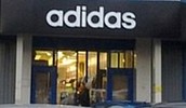   :    Adidas