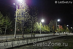  Ȼ    