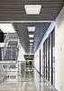 GlacialLight      GL-PL24-SM