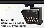  800    "BIG WHITE 2016"