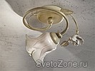   FERROLUCE -   .  FERROLUCE  ASK group  -!