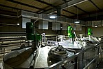 Philips Lighting   Coca-Cola HBC   