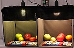​ -       LED-   ,    