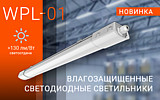    WPL-01