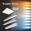   Tunable White 