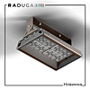     RADUGA -  