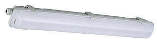    LineVision  LeKise