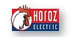 HOROZ ELECTRIC